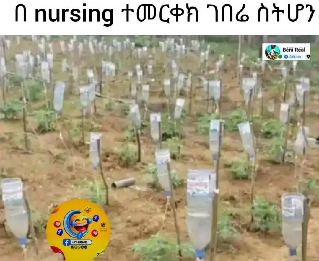 ርቀክ ገበሬ ስትሆን CPA WN] ATW?